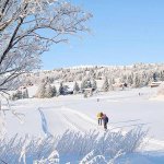 Schneelandschaft-in-Norwegen