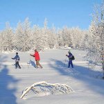 Ski-Langaufgruppe-auf-Tour