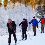 Gruppe Skilangläufer fährt in Reihe