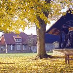 Glockenstuhl-Himmelpfort-im-Herbst