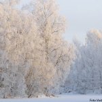 Kalevala-verschneite-Winterlandschaft
