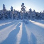 schneelandschaft-nordschweden