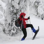 Frau bei Schneeschuhwanderung in Norwegen