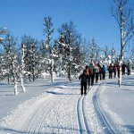 Gruppe bei Skilanglauf in norwegischer Loipe