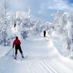 Skifahrer in Loipe und Telemarkstrecke in Norwegen