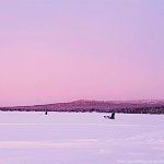 Drei Hundeschlitten fahren in schwedischer Winterlandschaft