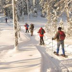 Gruppe wandert durch finnische Schneelandschaft