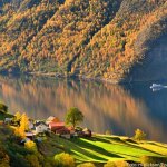 Blick in den Fjord mit Herbstfarben
